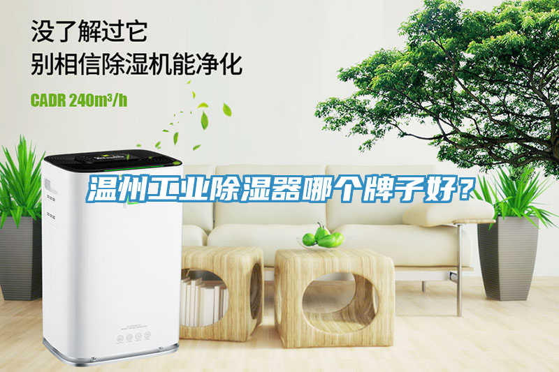 温州工业除湿器哪个牌子好？