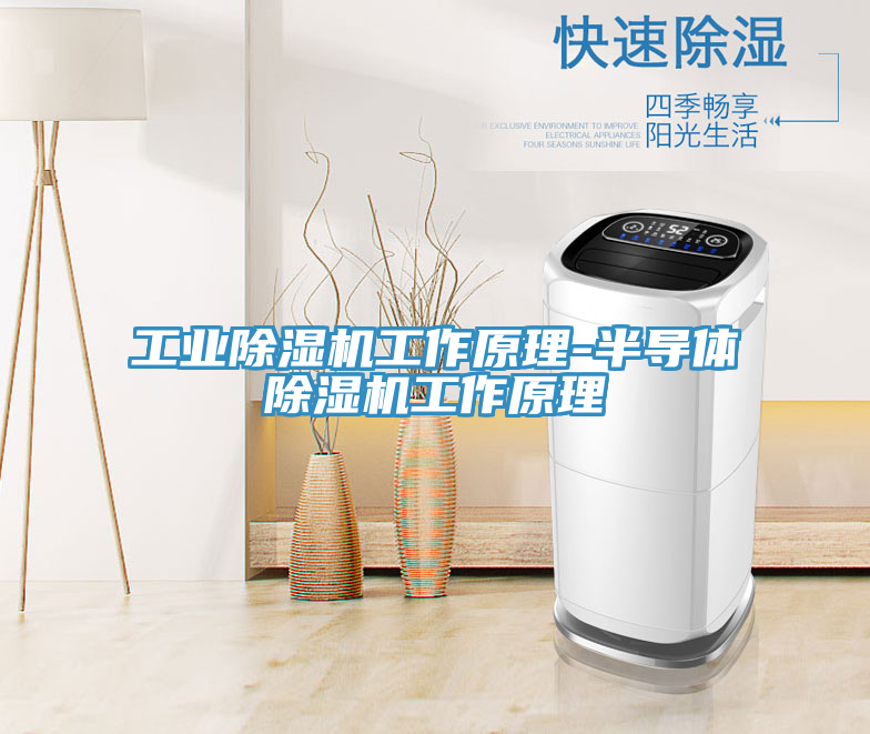 工业MR.好色破解版工作原理-半导体MR.好色破解版工作原理