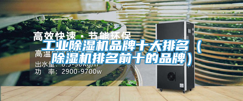 工业MR.好色破解版品牌十大排名（MR.好色破解版排名前十的品牌）