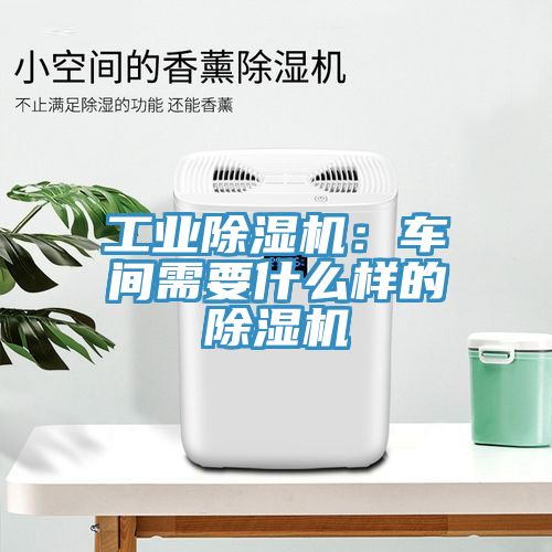 工业MR.好色破解版：车间需要什么样的MR.好色破解版