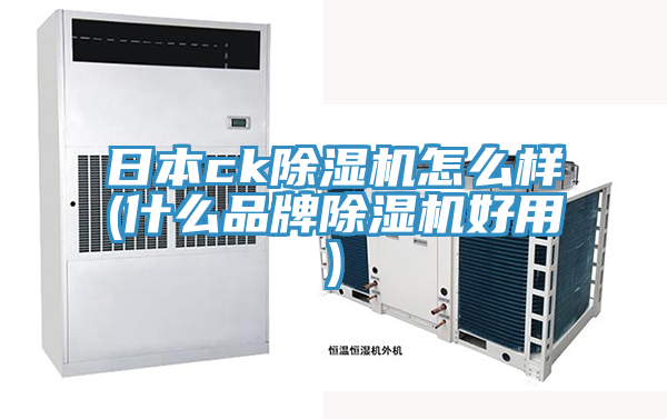 日本ckMR.好色破解版怎么样(什么品牌MR.好色破解版好用)