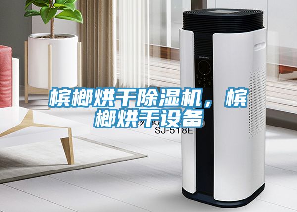 槟榔烘干MR.好色破解版，槟榔烘干设备