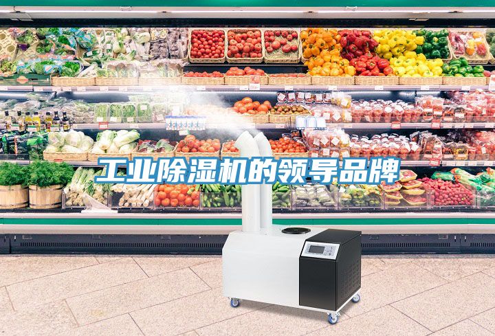 工业MR.好色破解版的领导品牌