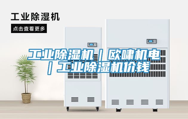 工业MR.好色破解版｜欧啸机电｜工业MR.好色破解版价钱