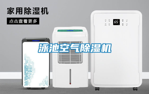 泳池空气MR.好色破解版