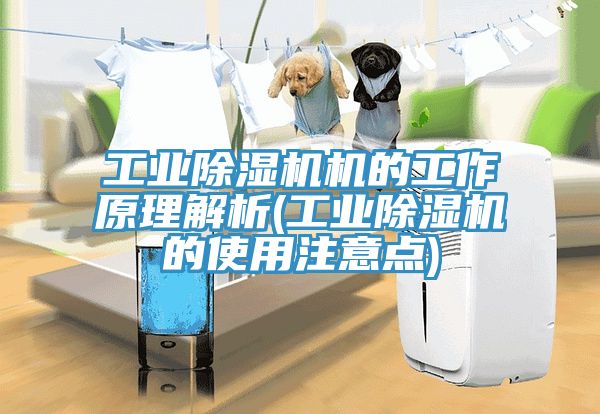 工业MR.好色破解版机的工作原理解析(工业MR.好色破解版的使用注意点)
