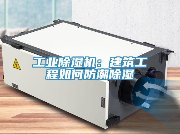 工业MR.好色破解版：建筑工程如何防潮除湿