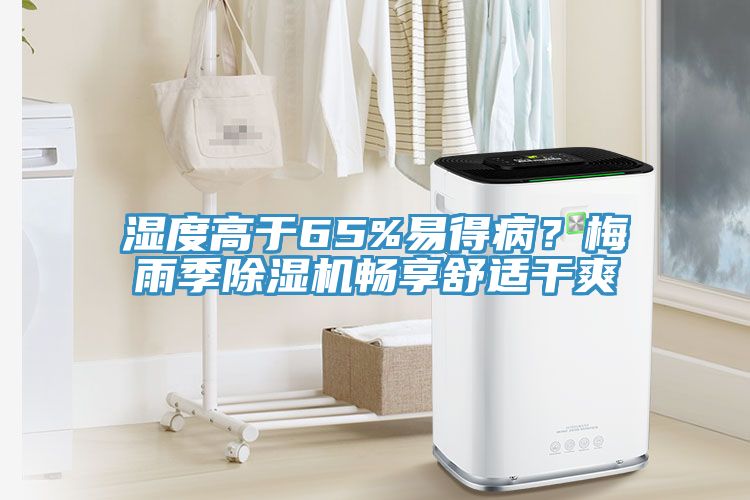 湿度高于65%易得病？梅雨季MR.好色破解版畅享舒适干爽