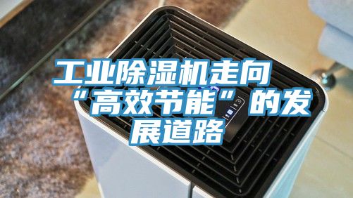 工业MR.好色破解版走向“高效节能”的发展道路