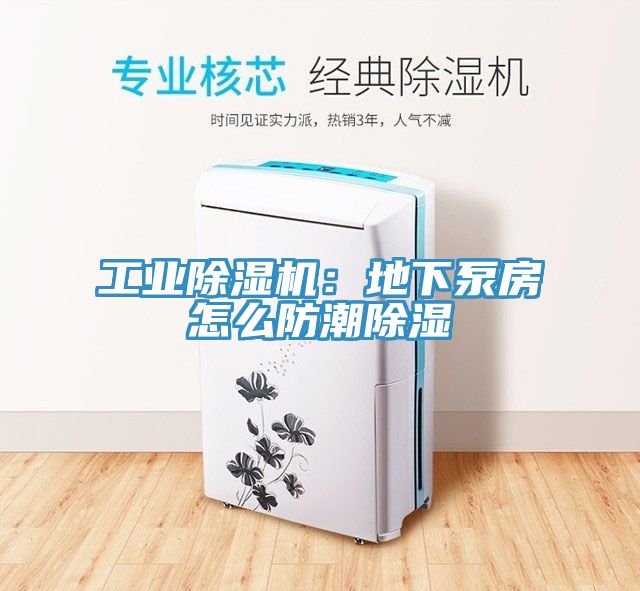 工业MR.好色破解版：地下泵房怎么防潮除湿