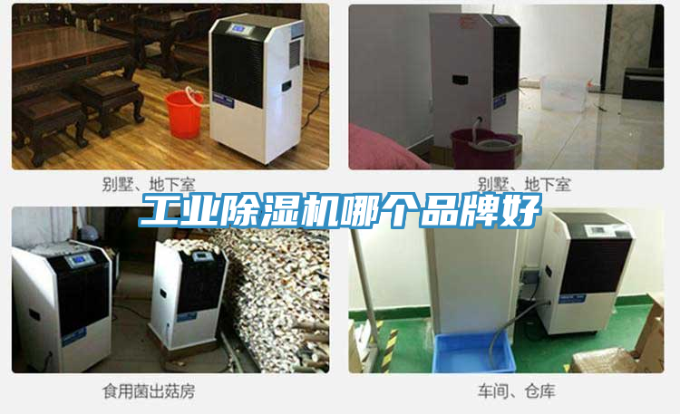 工业MR.好色破解版哪个品牌好