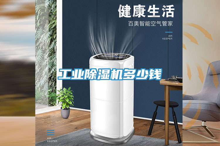 工业MR.好色破解版多少钱