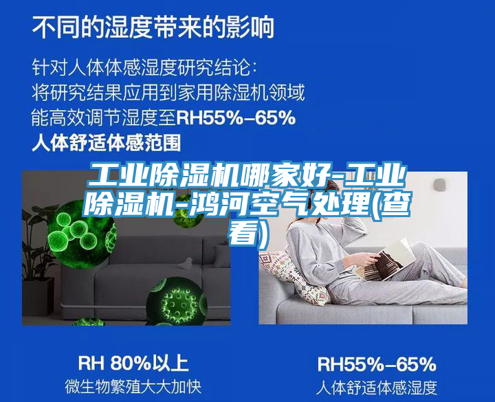 工业MR.好色破解版哪家好-工业MR.好色破解版-鸿河空气处理(查看)