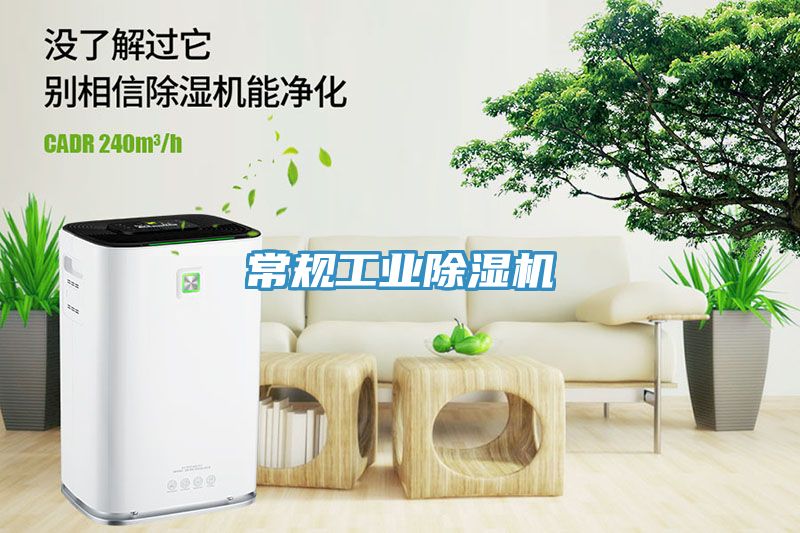 常规工业MR.好色破解版