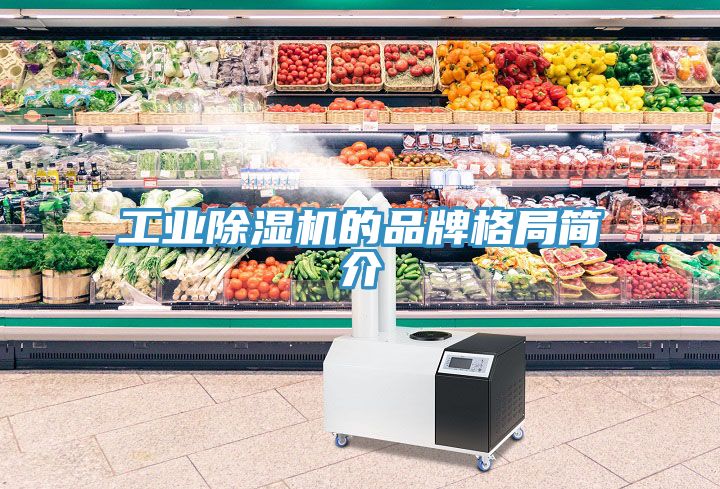 工业MR.好色破解版的品牌格局简介