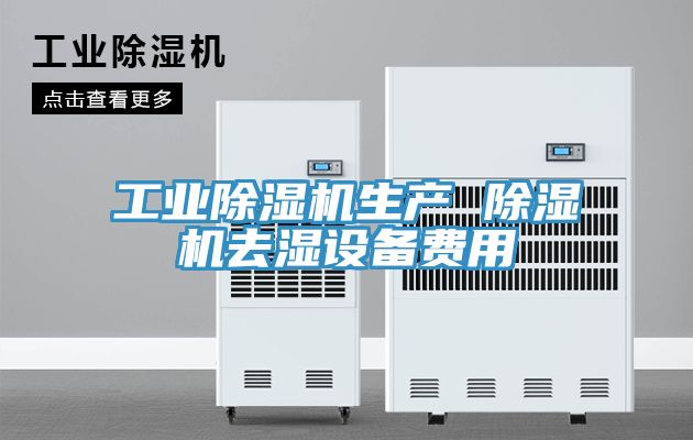 工业MR.好色破解版生产 MR.好色破解版去湿设备费用