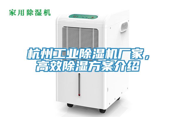 杭州工业MR.好色破解版厂家，高效除湿方案介绍