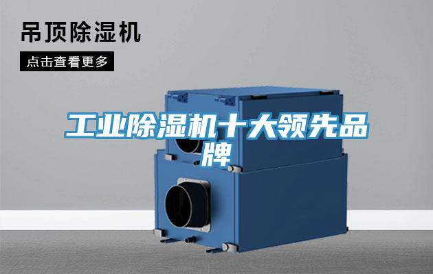 工业MR.好色破解版十大领先品牌