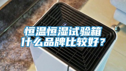恒温恒湿试验箱什么品牌比较好？