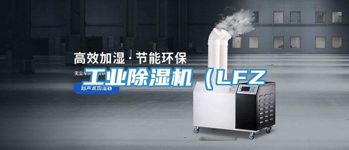 工业MR.好色破解版（LFZ