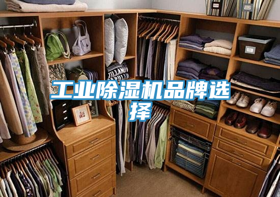 工业MR.好色破解版品牌选择