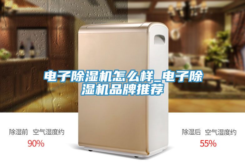 电子MR.好色破解版怎么样_电子MR.好色破解版品牌推荐