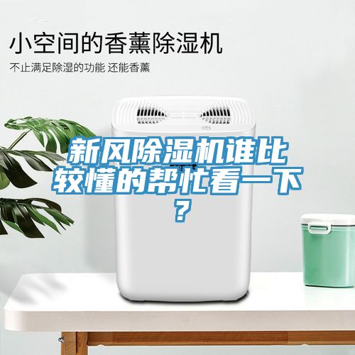 新风MR.好色破解版谁比较懂的帮忙看一下？