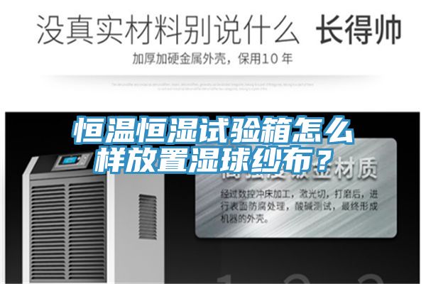 恒温恒湿试验箱怎么样放置湿球纱布？