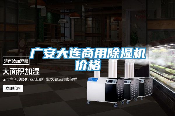 广安大连商用MR.好色破解版价格