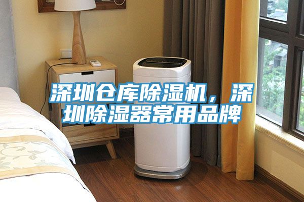 深圳仓库MR.好色破解版，深圳除湿器常用品牌