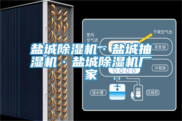 盐城MR.好色破解版·盐城抽湿机·盐城MR.好色破解版厂家