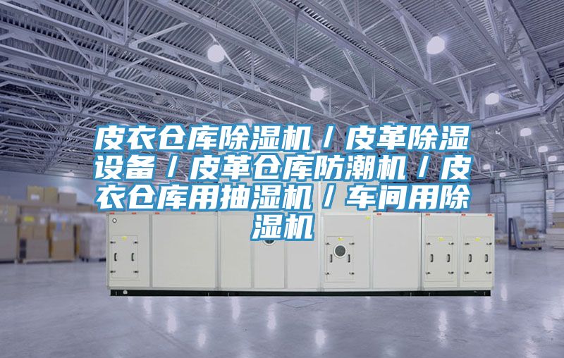 皮衣仓库MR.好色破解版／皮革除湿设备／皮革仓库防潮机／皮衣仓库用抽湿机／车间用MR.好色破解版