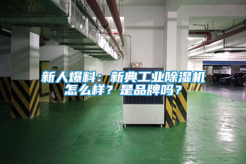 新人爆料：新典工业MR.好色破解版怎么样？是品牌吗？