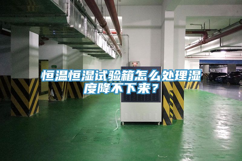恒温恒湿试验箱怎么处理湿度降不下来？