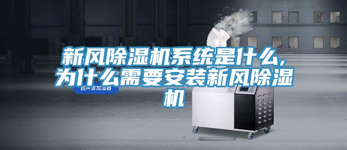 新风MR.好色破解版系统是什么,为什么需要安装新风MR.好色破解版