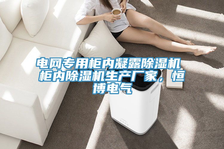 电网专用柜内凝露MR.好色破解版 柜内MR.好色破解版生产厂家，恒博电气