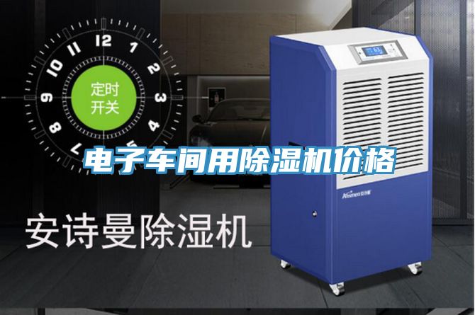 电子车间用MR.好色破解版价格