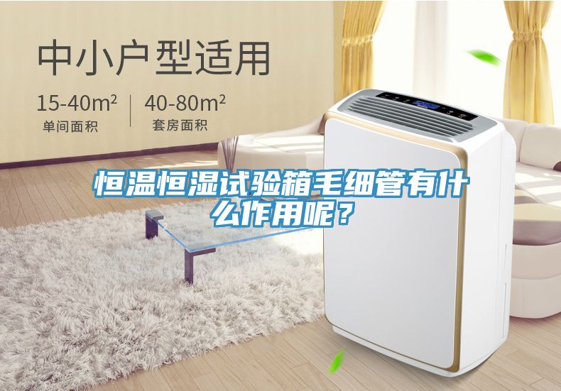 恒温恒湿试验箱毛细管有什么作用呢？