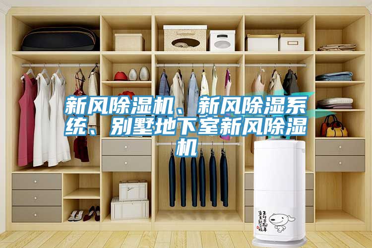 新风MR.好色破解版、新风除湿系统、别墅地下室新风MR.好色破解版