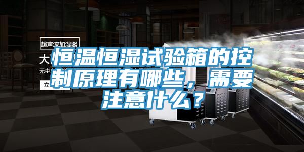 恒温恒湿试验箱的控制原理有哪些，需要注意什么？