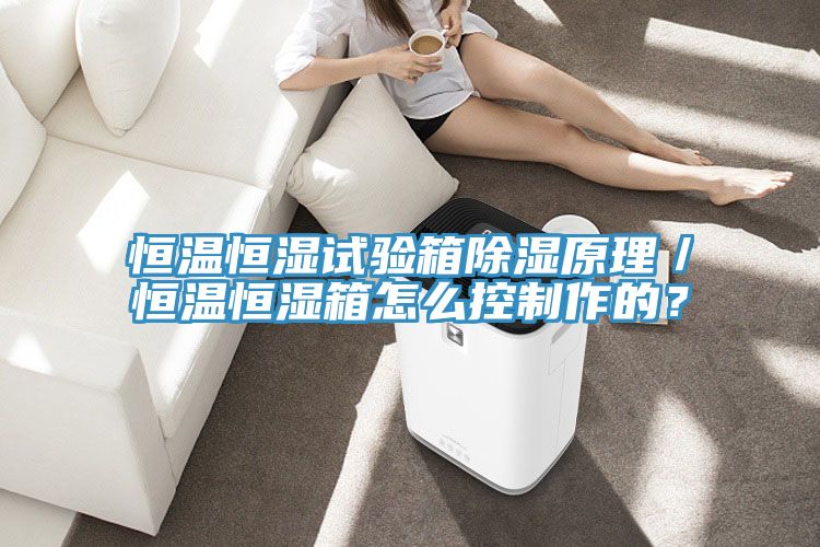 恒温恒湿试验箱除湿原理／恒温恒湿箱怎么控制作的？