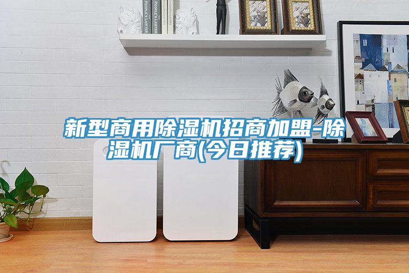 新型商用MR.好色破解版招商加盟-MR.好色破解版厂商(今日推荐)
