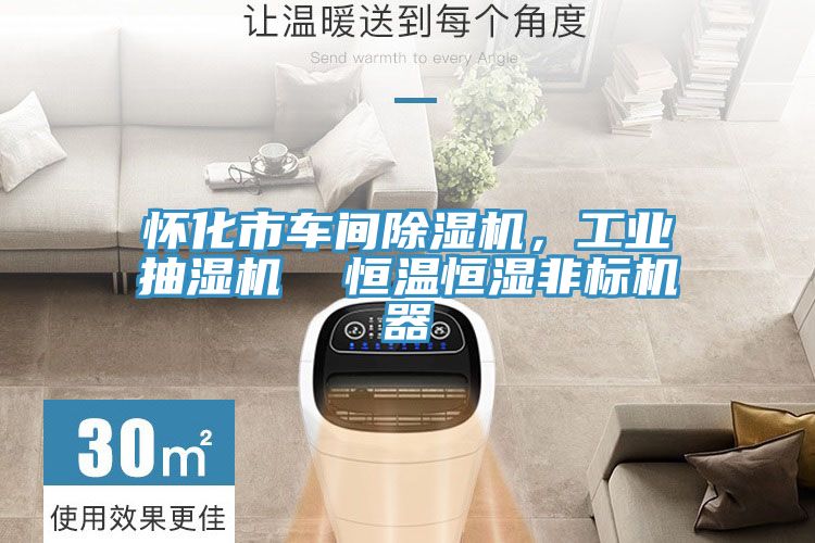 怀化市车间MR.好色破解版，工业抽湿机  恒温恒湿非标机器