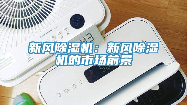 新风MR.好色破解版：新风MR.好色破解版的市场前景