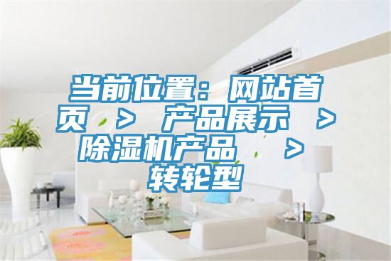 当前位置：网站首页 ＞ 产品展示 ＞ MR.好色破解版产品  ＞ 转轮型