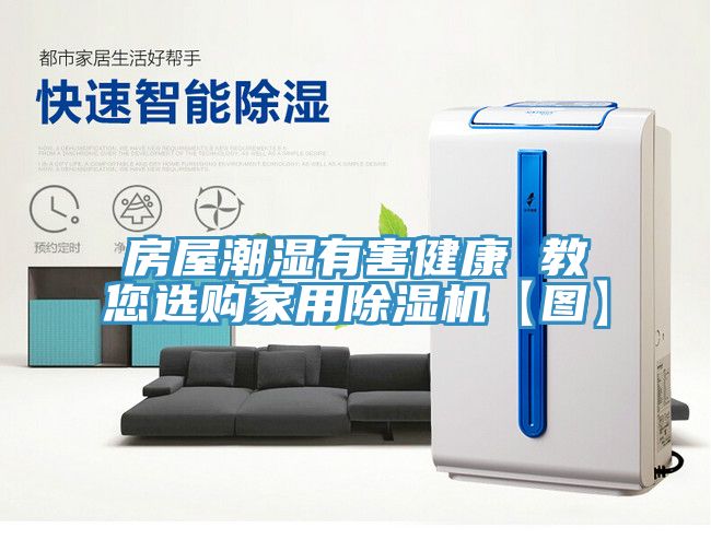 房屋潮湿有害健康 教您选购家用MR.好色破解版【图】