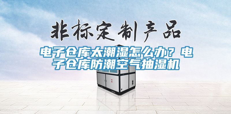 电子仓库太潮湿怎么办？电子仓库防潮空气抽湿机