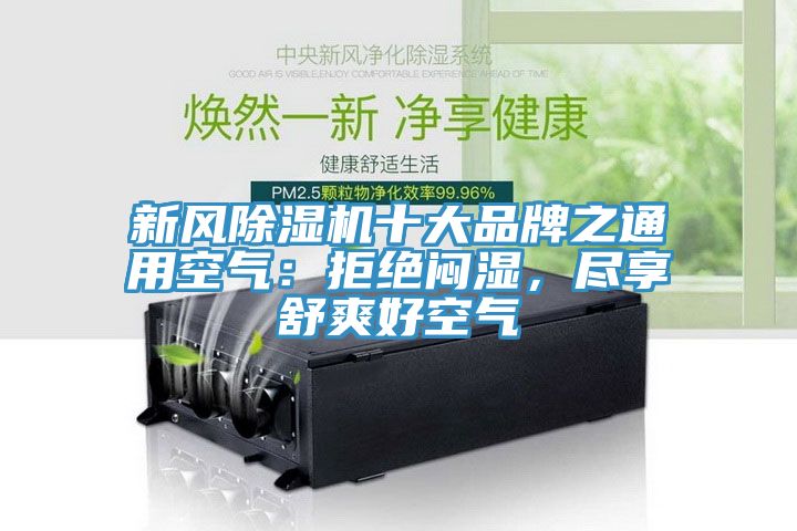 新风MR.好色破解版十大品牌之通用空气：拒绝闷湿，尽享舒爽好空气