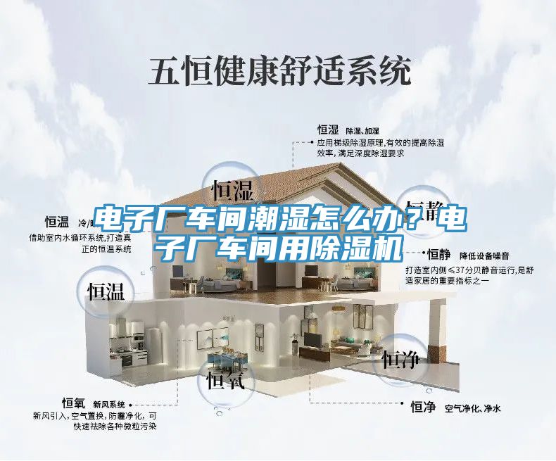 电子厂车间潮湿怎么办？电子厂车间用MR.好色破解版