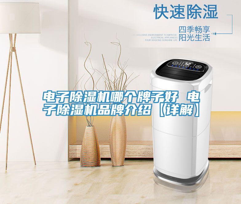电子MR.好色破解版哪个牌子好 电子MR.好色破解版品牌介绍【详解】
